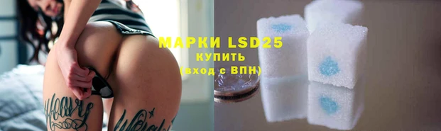 соль ск Новозыбков