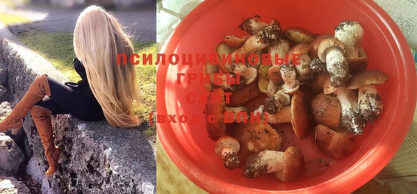 соль ск Новозыбков