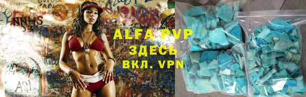 прущие грибы Яранск