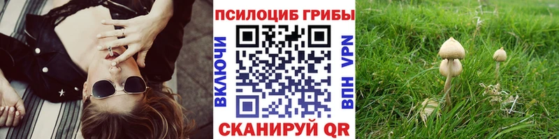 кракен маркетплейс  Владивосток  Псилоцибиновые грибы Magic Shrooms 