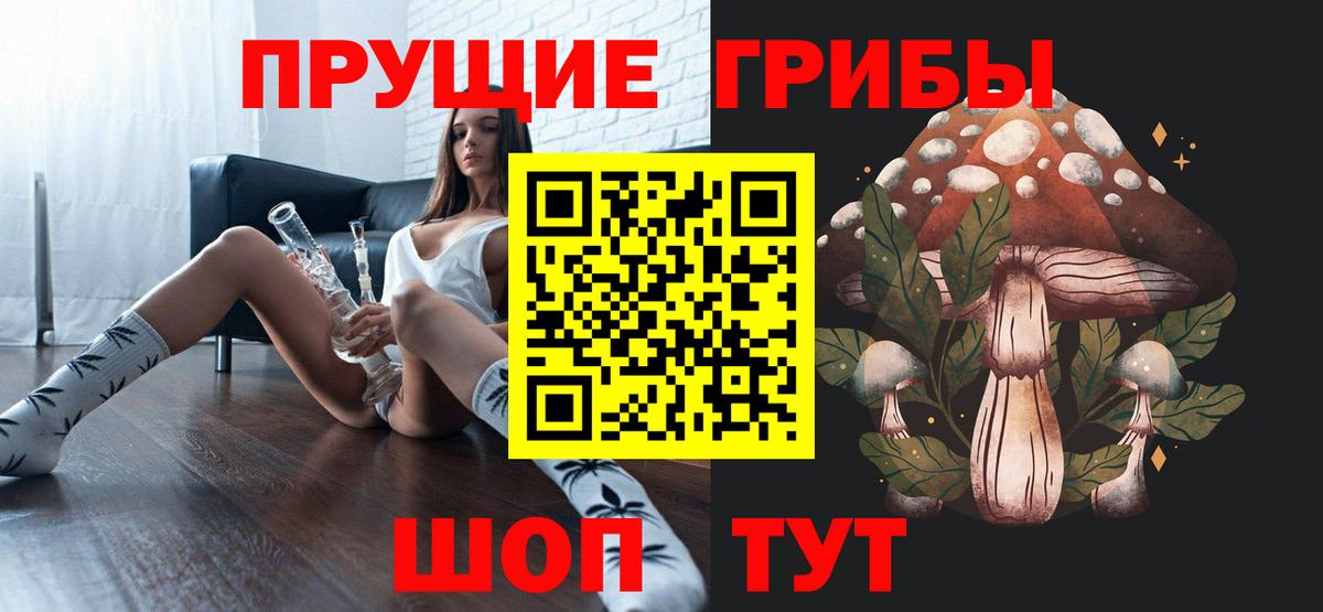 Псилоцибиновые грибы Psilocybe Владивосток