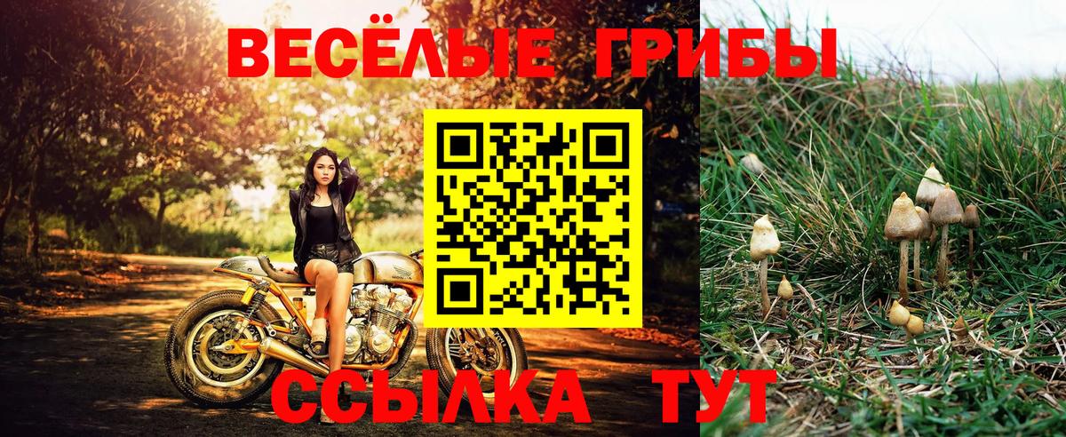 Владивосток  Псилоцибиновые грибы прущие грибы  хочу   Вход с VPN 